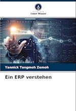 Ein ERP verstehen