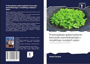 Przemyslowe wykorzystanie kauczuku pochodzacego z recyklingu zuzytych opon