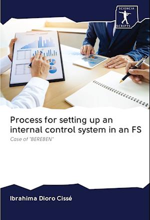 Process for setting up an internal control system in an FS