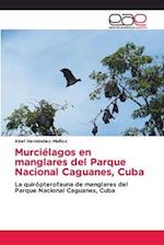 Murciélagos en manglares del Parque Nacional Caguanes, Cuba