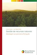 Gestão de recursos naturais