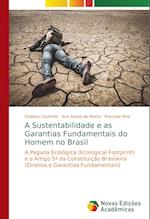 A Sustentabilidade e as Garantias Fundamentais do Homem no Brasil