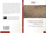 Evaluation of the Effects of Rice Husks and NPK Fertilizer (4:1:1)