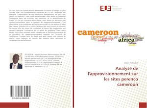 Analyse de l'approvisionnement sur les sites perenco cameroun