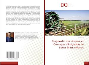 Diagnostic des réseaux et Ouvrages d'Irrigation de Souss Massa-Maroc