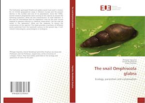 The snail Omphiscola glabra