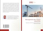 Management des risques industriels