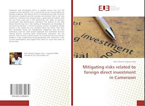 Mitigating risks related to foreign direct investment in Cameroon