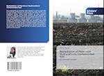 Remediation of Petroleum Hydrocarbons Contaminated Soil