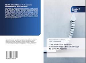 The Mediation Effect of Socioeconomic Disadvantage to Birth Outcomes