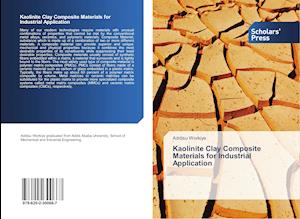 Kaolinite Clay Composite Materials for Industrial Application