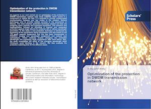 Optimization of the protection in DWDM transmission network