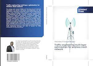 Traffic engineering multi-layer optimization for wireless mesh network