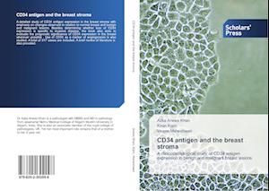 CD34 antigen and the breast stroma