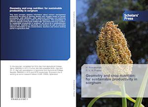 Geometry and crop nutrition: for sustainable productivity in sorghum