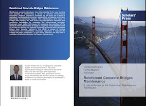 Reinforced Concrete Bridges Maintenance