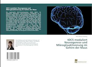 tDCS moduliert Neurogenese und Mikrogliaaktivierung im Gehirn der Maus