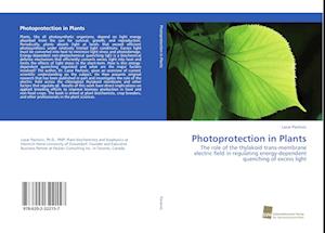 Photoprotection in Plants