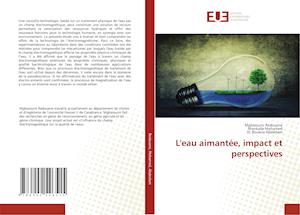 L'eau aimantée, impact et perspectives