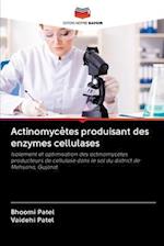 Actinomycètes produisant des enzymes cellulases
