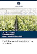 Funktion von Aminosäuren in Pflanzen