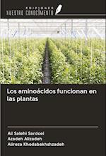 Los aminoácidos funcionan en las plantas