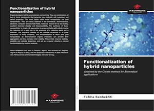 Functionalization of hybrid nanoparticles