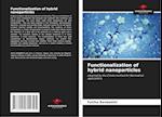 Functionalization of hybrid nanoparticles