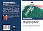 Genetische Variationen der Maramabohne im namibischen Keimplasma