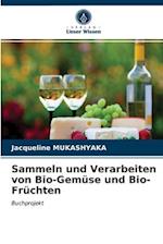 Sammeln und Verarbeiten von Bio-Gemüse und Bio-Früchten