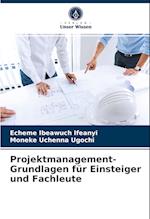 Projektmanagement-Grundlagen für Einsteiger und Fachleute