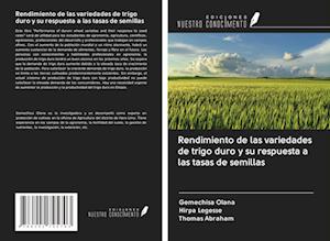 Rendimiento de las variedades de trigo duro y su respuesta a las tasas de semillas