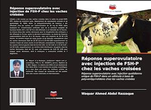 Réponse superovulatoire avec injection de FSH-P chez les vaches croisées