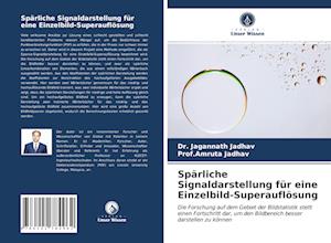 Spärliche Signaldarstellung für eine Einzelbild-Superauflösung