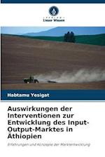 Auswirkungen der Interventionen zur Entwicklung des Input-Output-Marktes in Äthiopien