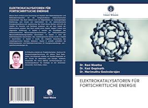 ELEKTROKATALYSATOREN FÜR FORTSCHRITTLICHE ENERGIE