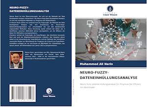 Neuro-Fuzzy-Dateneinhüllungsanalyse