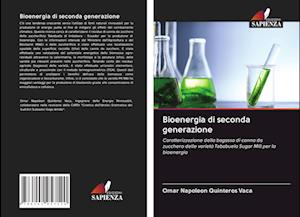 Bioenergia di seconda generazione