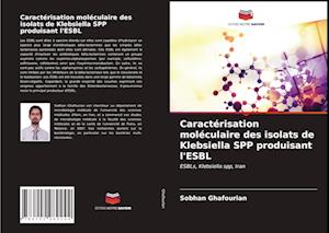 Caractérisation moléculaire des isolats de Klebsiella SPP produisant l'ESBL