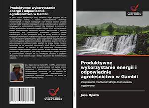 Produktywne wykorzystanie energii i odpowiednie agrolesnictwo w Gambii