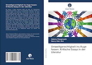 Umweltgerechtigkeit ins Auge fassen: Kritische Essays in der Literatur