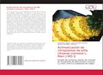 Aclimatización de vitroplantas de piña (Ananas comosus L. Merr.) MD-2