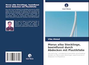 Morus alba Stecklinge, beeinflusst durch Abdecken mit Plastikfolie