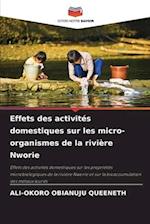 Effets des activités domestiques sur les micro-organismes de la rivière Nworie