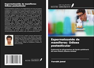 Espermatozoide de mamíferos: Odisea postesticular