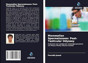 Mammalian Spermatozoon: Post-Testicular Odyssey