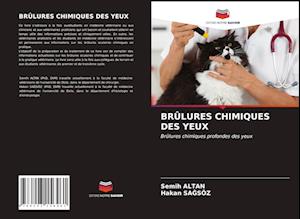 Brûlures Chimiques Des Yeux