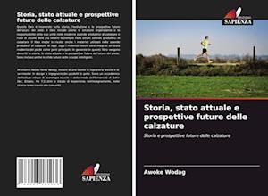 Storia, stato attuale e prospettive future delle calzature