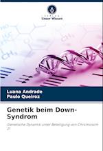 Genetik beim Down-Syndrom