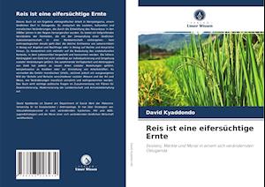 Reis ist eine eifersüchtige Ernte